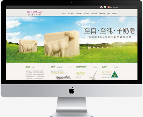 傲來網(wǎng)絡 一站式數(shù)字營銷解決方案，驅動品牌增長新引擎