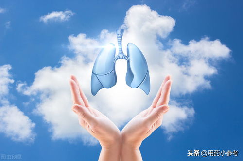 好肺好健康，日常生活中護(hù)肺良方